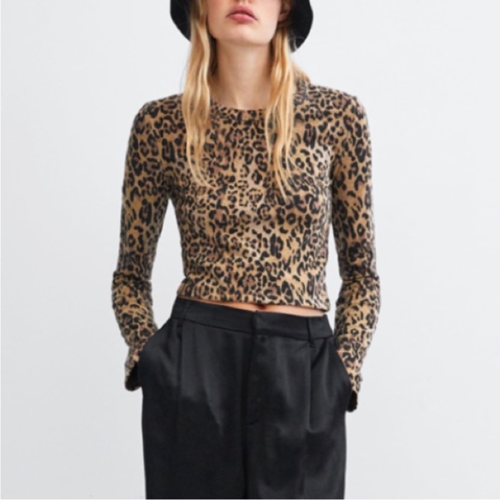 New Zara Leopard Knit Crop Sweater